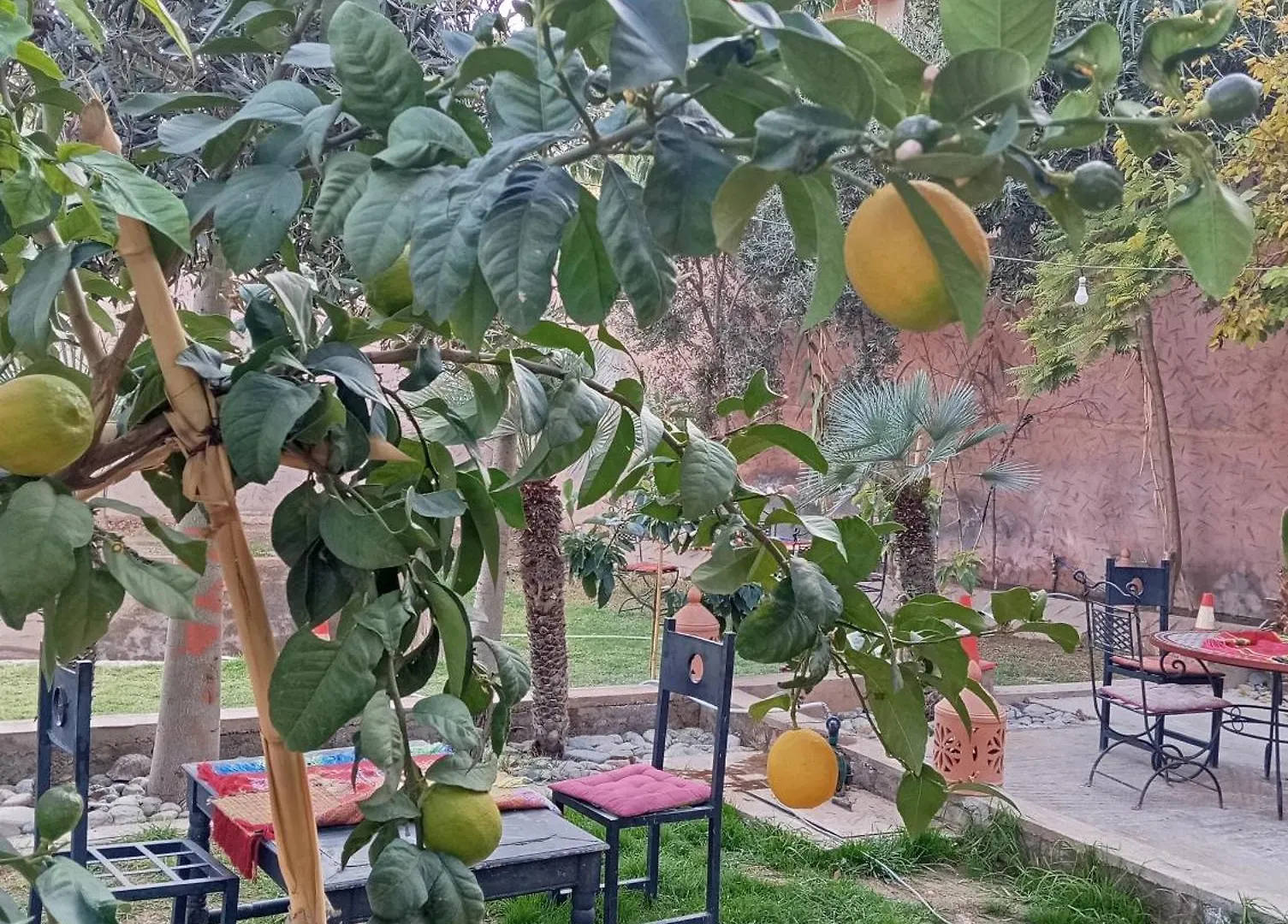 Dar Soulaimane Hotel Asguine